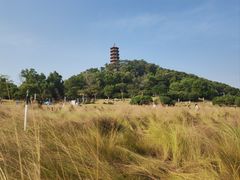 -红花山公园