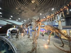 -国家自然博物馆