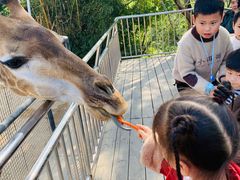 -泉州海丝野生动物世界