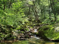 -少华山国家森林公园
