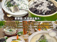 -紫藤园·天目湖大鱼头(南山竹海店)
