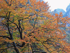 -大明山自然探索公园