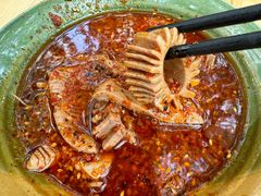 -高记什邡肖麻辣(成都店)