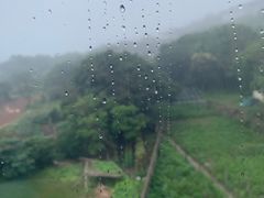 -普陀山慧济禅寺