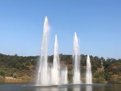 -飞凤山奥体公园
