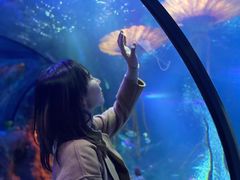 -沈阳海洋探索中心