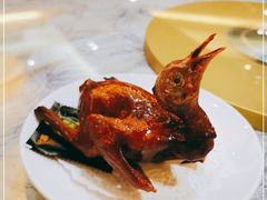 -有腥气私房菜·寻味顺德