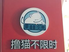 -Umiao与猫咖啡 猫咖