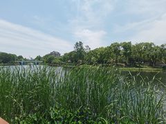 -新江湾城公园