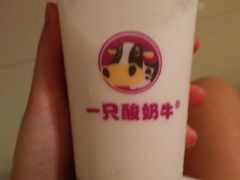 -一只酸奶牛(东方广场店)