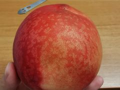 -成都美食巫山烤鱼(三里河路店)