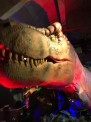 -恐龙探索乐园(磁器口店)