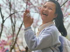 -高东镇樱花园