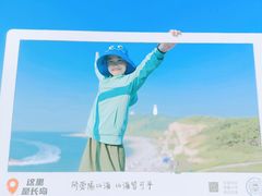 -长岛万鸟岛
