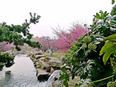 景点-大阳山国家森林公园
