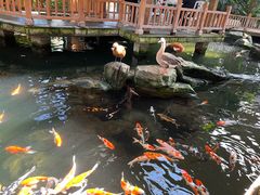 -南宫五洲植物乐园