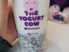 -一只酸奶牛(大融城店)