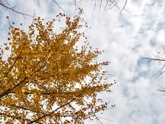 -汉景帝阳陵博物院