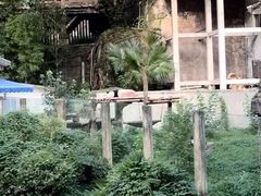 -重庆动物园·东二门售票处