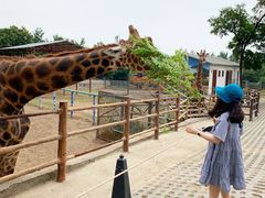 -西安秦岭野生动物园