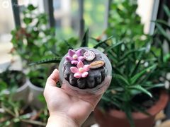 -哈根达斯(宁波和义店)