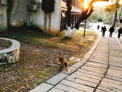 -景德镇古窑民俗博览区