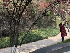 -重庆彩云湖湿地公园