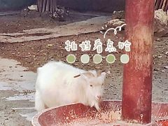 -成都动物园