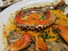 -外滩1288花园丽舍