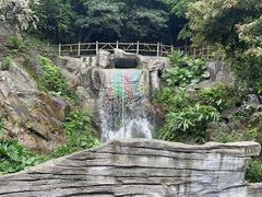 -南丹山森林王国