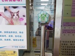 -北京观赏动物医院·24小时大型综合·猫专科·异宠专科