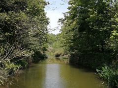 -桤木河湿地公园