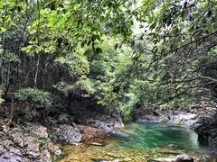 -祁门牯牛降观音堂风景区