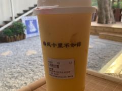 多肉杨枝甘露-椿风·养身茶饮(吉大店)