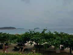 -渔家火锅·海鲜自助餐·演艺(亚龙湾天域酒店)