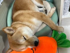 -正清和·推拿养生(二七广场店)