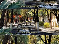 -蓝壁虎咖啡酒馆