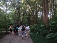 -紫霞湖公园