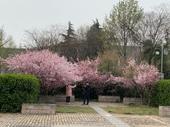 -金陵图书馆