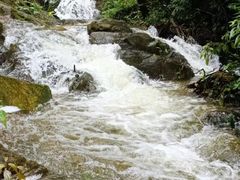-南丹山森林王国