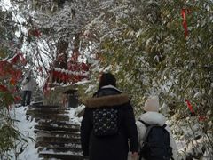 -少华山国家森林公园