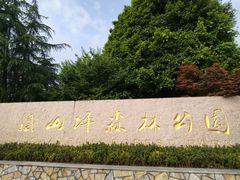 -金水泊山庄·花椒鸡(铁山坪店)
