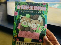 -合肥野生动物园