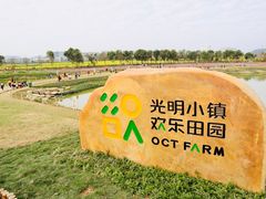 -光明小镇欢乐田园