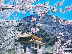 -妙峰山风景名胜区