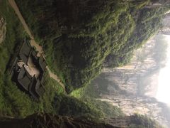 神鹰天坑-重庆武隆天生三桥风景区-神鹰天坑