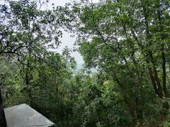 -火炉山森林公园