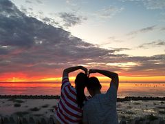 -南汇嘴观海公园