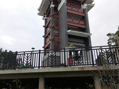 -王借岗森林公园