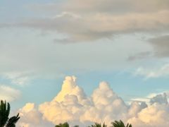 -深圳湾公园(南山区)